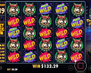 BIG DAWGS – х3900